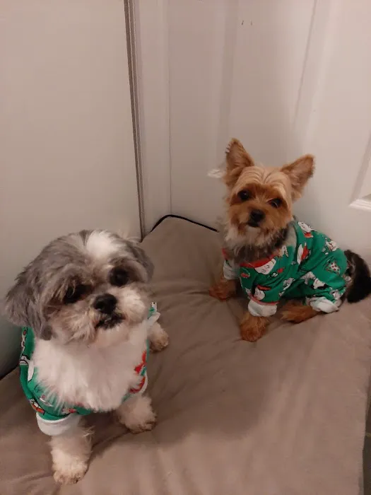 North Jersey Animal Hospital Picture 10