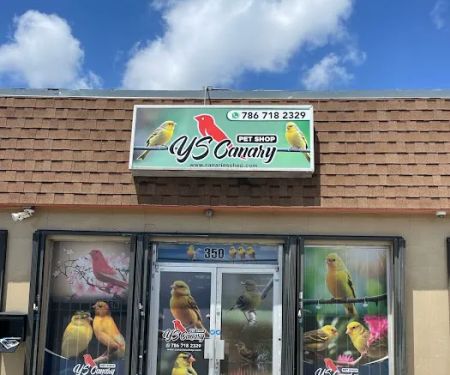 YS Canary Pet Shop