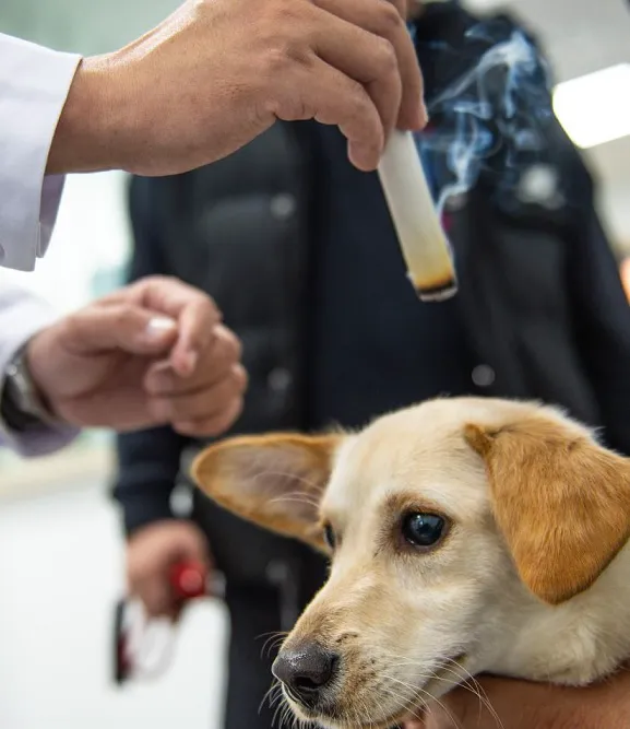Riverdale Integrative Veterinary Care Picture 2