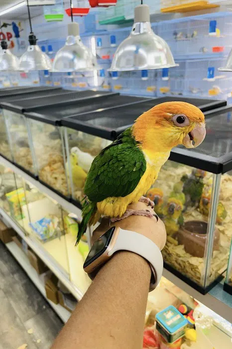 Animal House Pet Shop Picture 3