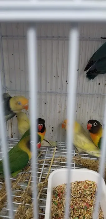 Animal House Pet Shop Picture 1