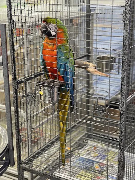 Animal House Pet Shop Picture 4