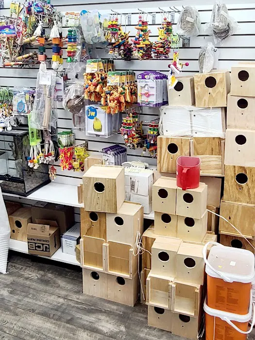 Animal House Pet Shop Picture 6