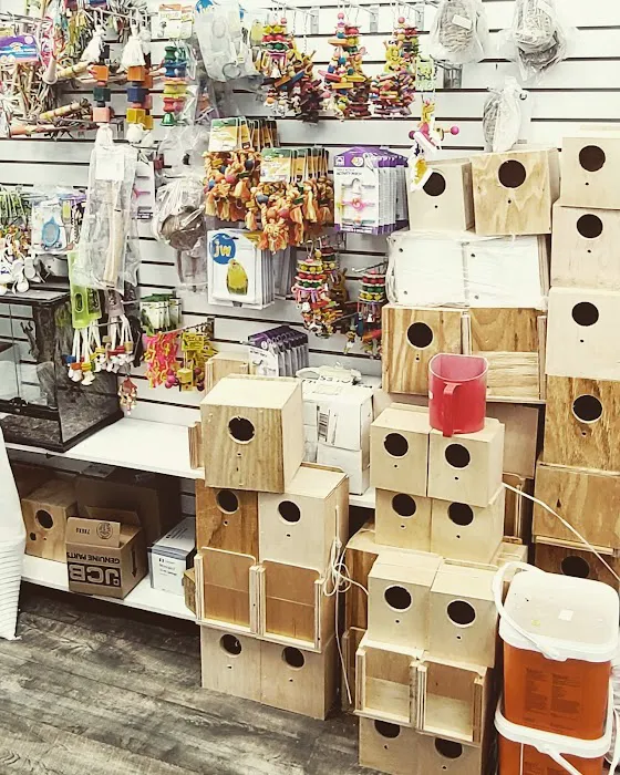 Animal House Pet Shop Picture 9
