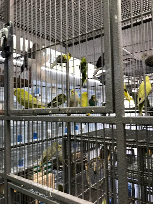 Animal House Pet Shop Picture 7
