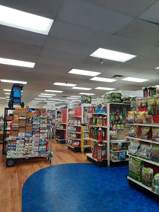 Pet Supermarket Picture 4