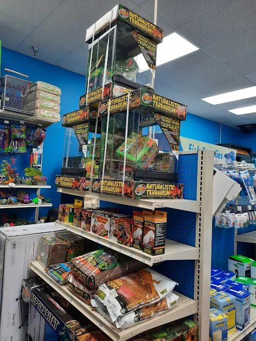 Pet Supermarket Picture 7