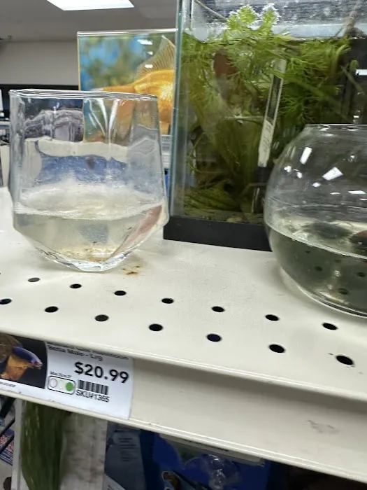 Pet Supermarket Picture 5