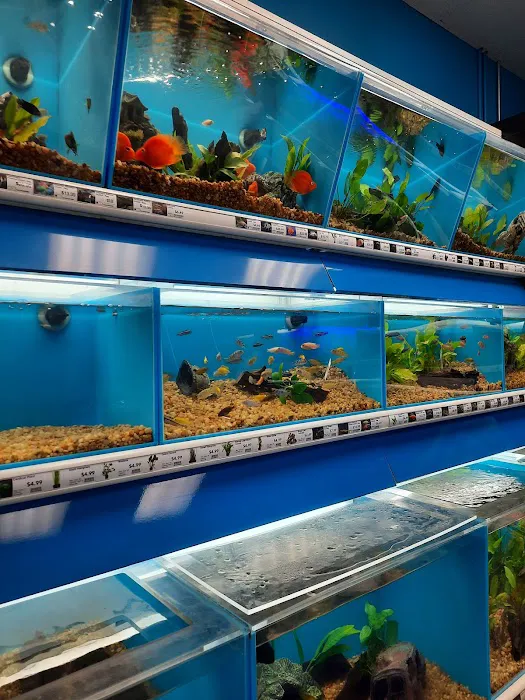 Pet Supermarket Picture 9