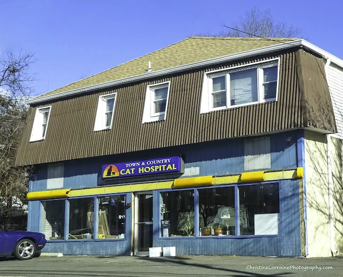 Town & Country Veterinary Cat Hospital Picture 2
