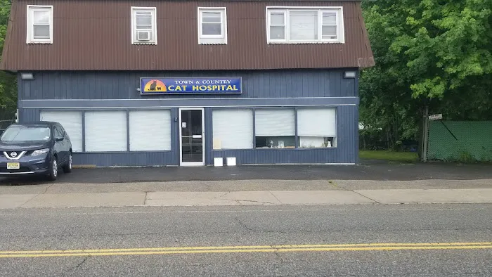 Town & Country Veterinary Cat Hospital Picture 4