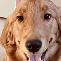 Animal Care Center of North Jersey ico