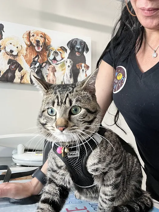 Animal Care Center of North Jersey Picture 3