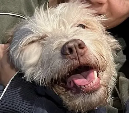 Animal Care Center of North Jersey Picture 4
