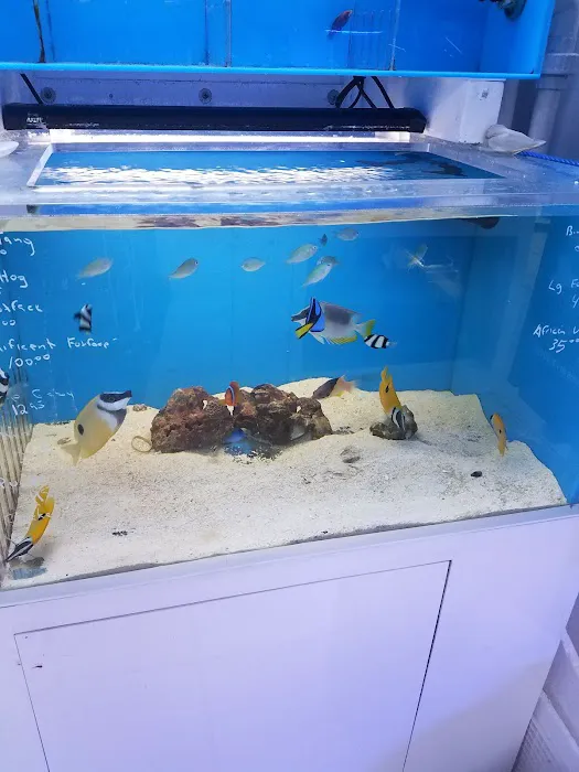 Aquarama Inc. Picture 2