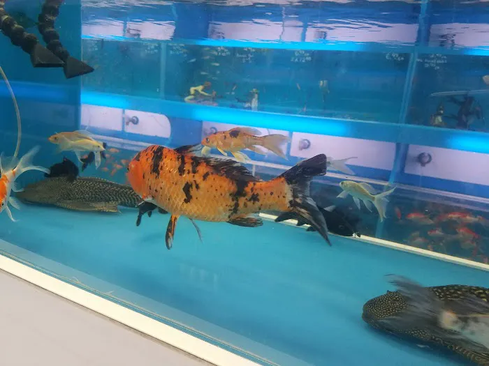 Aquarama Inc. Picture 4