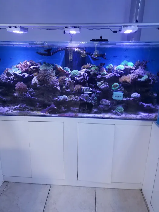 Aquarama Inc. Picture 5