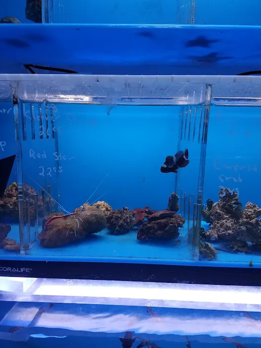 Aquarama Inc. Picture 3