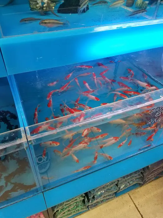 Aquarama Inc. Picture 6