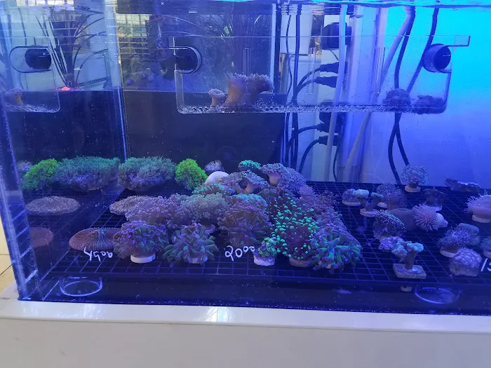 Aquarama Inc. Picture 8