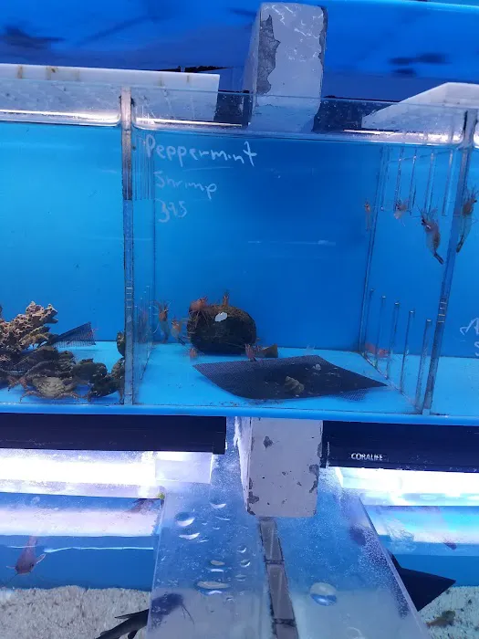 Aquarama Inc. Picture 10