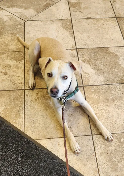 Pompton Lakes Animal Hospital Picture 5