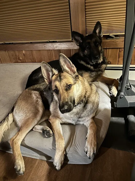 Pompton Lakes Animal Hospital Picture 4