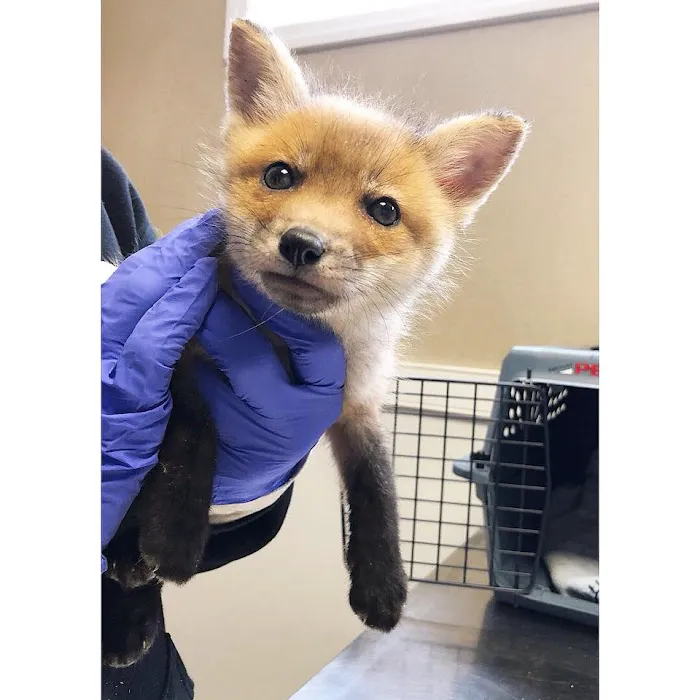 Pompton Lakes Animal Hospital Picture 2