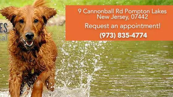 Pompton Lakes Animal Hospital Picture 8