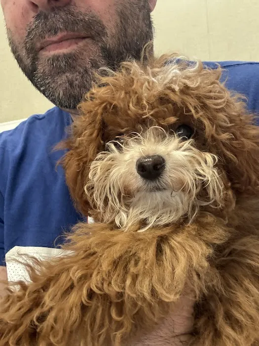 Pompton Lakes Animal Hospital Picture 6