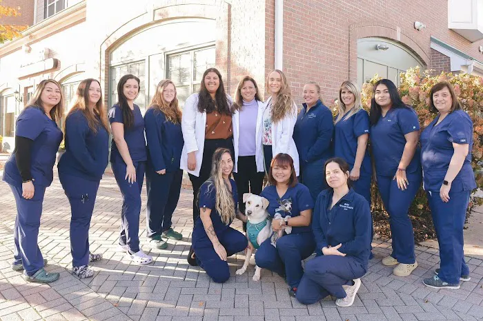 Butler Veterinary Hospital Picture 4