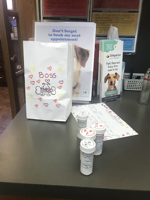 Bloomingdale Animal Hospital Picture 4