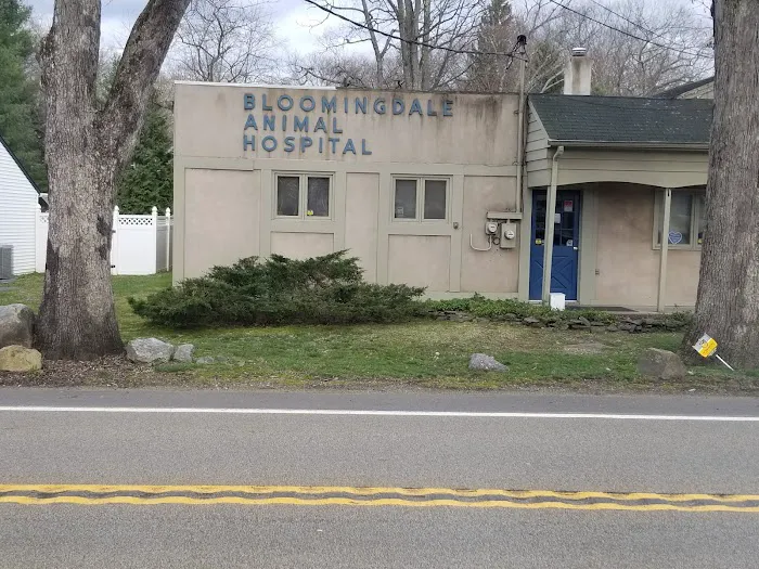 Bloomingdale Animal Hospital Picture 5