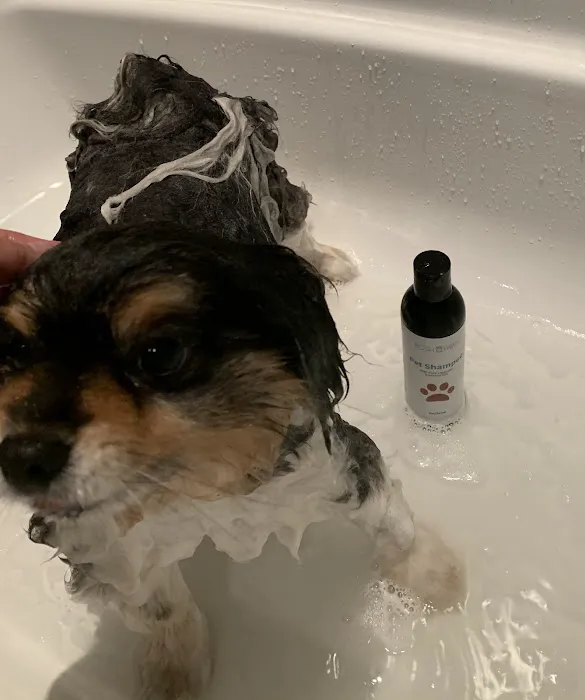 Posh Paws Amenities Picture 4
