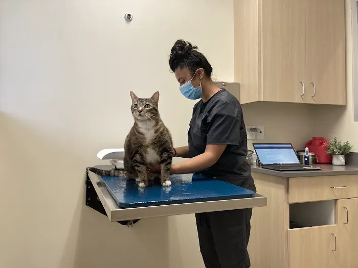 Vetco Total Care Animal Hospital Picture 3
