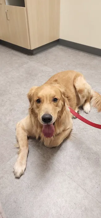 Vetco Total Care Animal Hospital Picture 4