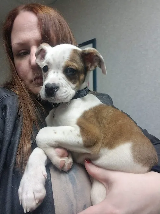 Sova Animal Hospital Picture 2