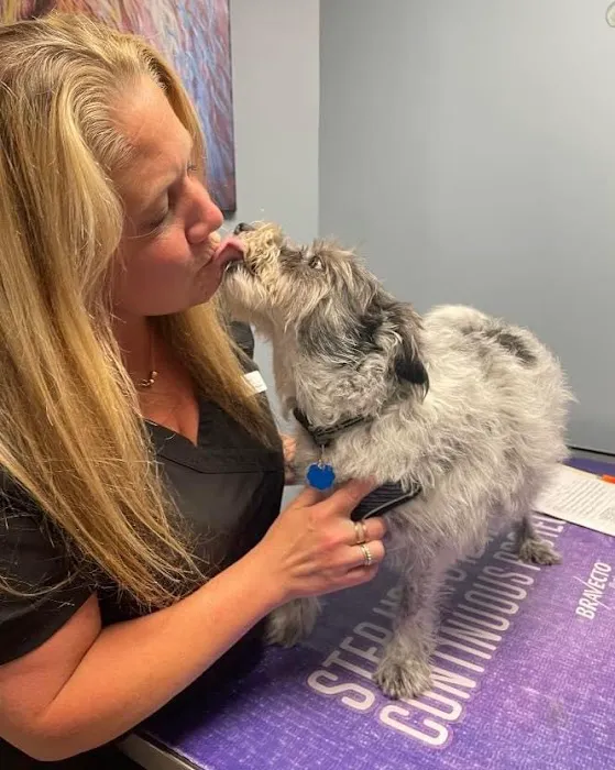 Sova Animal Hospital Picture 10
