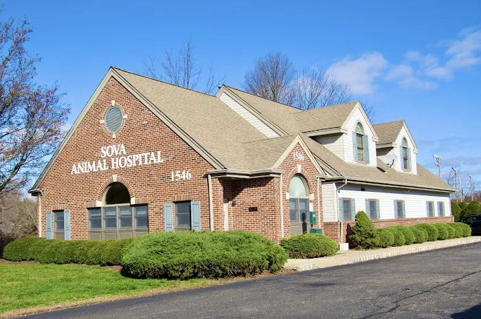 Sova Animal Hospital Picture 7