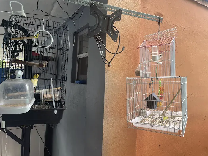 El Palomar Pet Shop Inc Picture 3