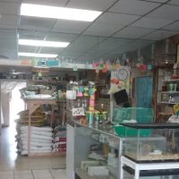 El Palomar Pet Shop Inc ico