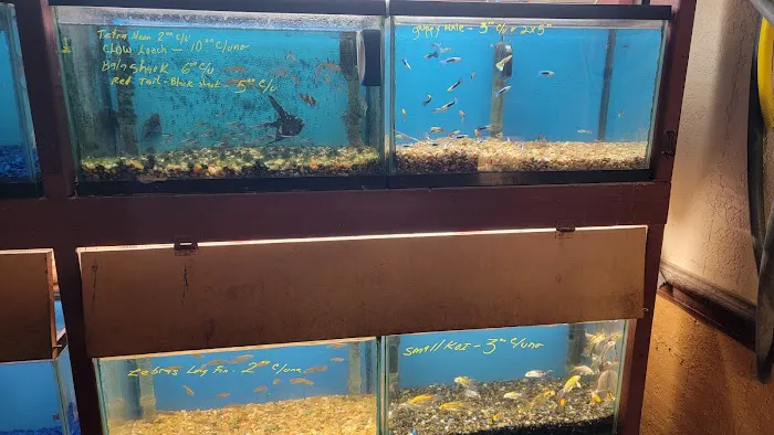 El Palomar Pet Shop Inc Picture 4