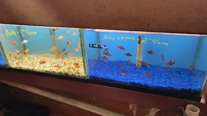 El Palomar Pet Shop Inc Picture 2