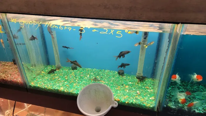 El Palomar Pet Shop Inc Picture 6