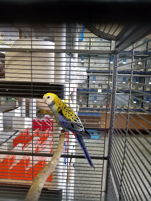 El Palomar Pet Shop Inc Picture 9