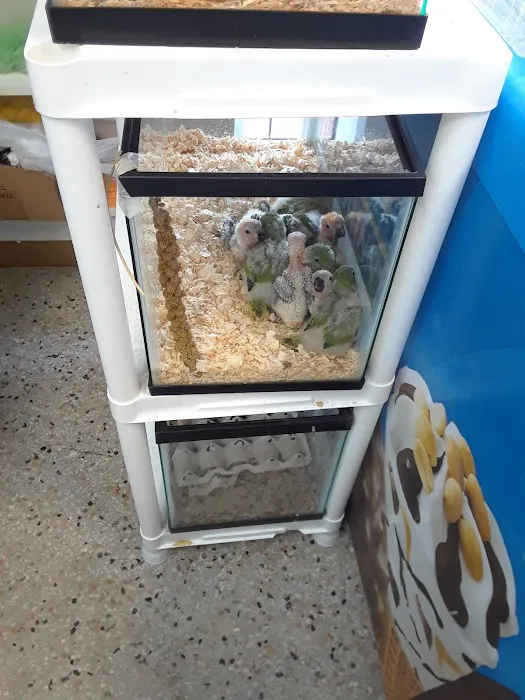 El Palomar Pet Shop Inc Picture 10