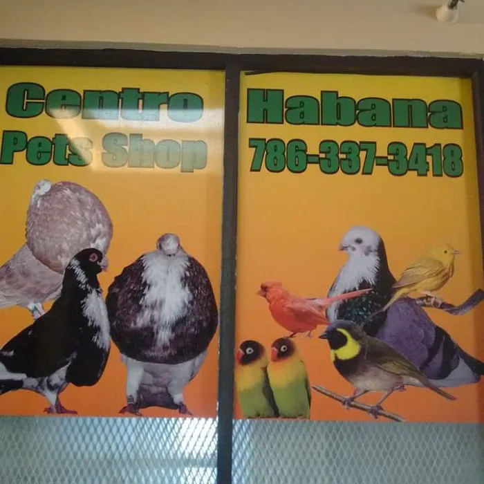 Centro habana pet shop Picture 2