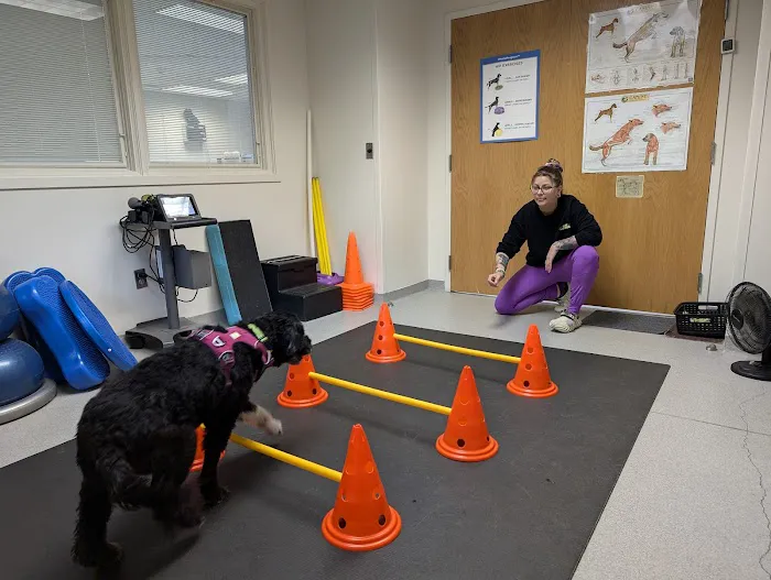 Valley Animal Hospital Picture 4