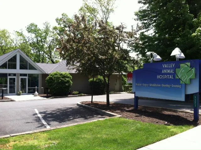 Valley Animal Hospital Picture 3
