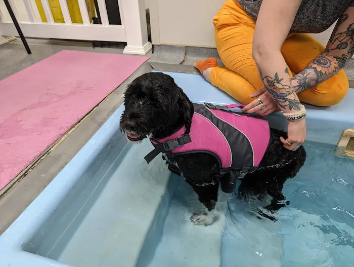 Valley Animal Hospital Picture 1
